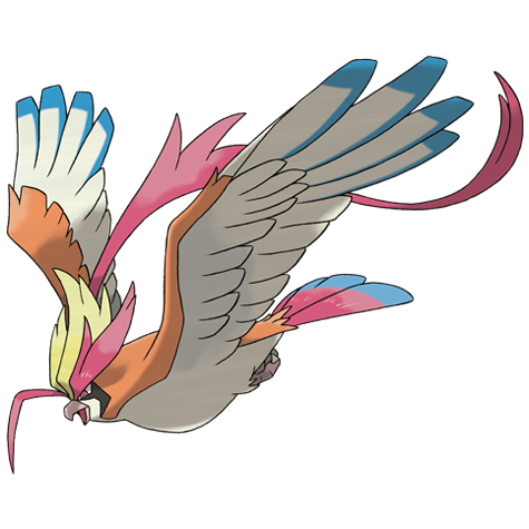 Pidgeot